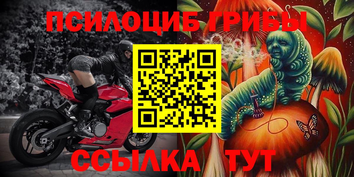 Галлюциногенные грибы Psilocybine cubensis Озёры