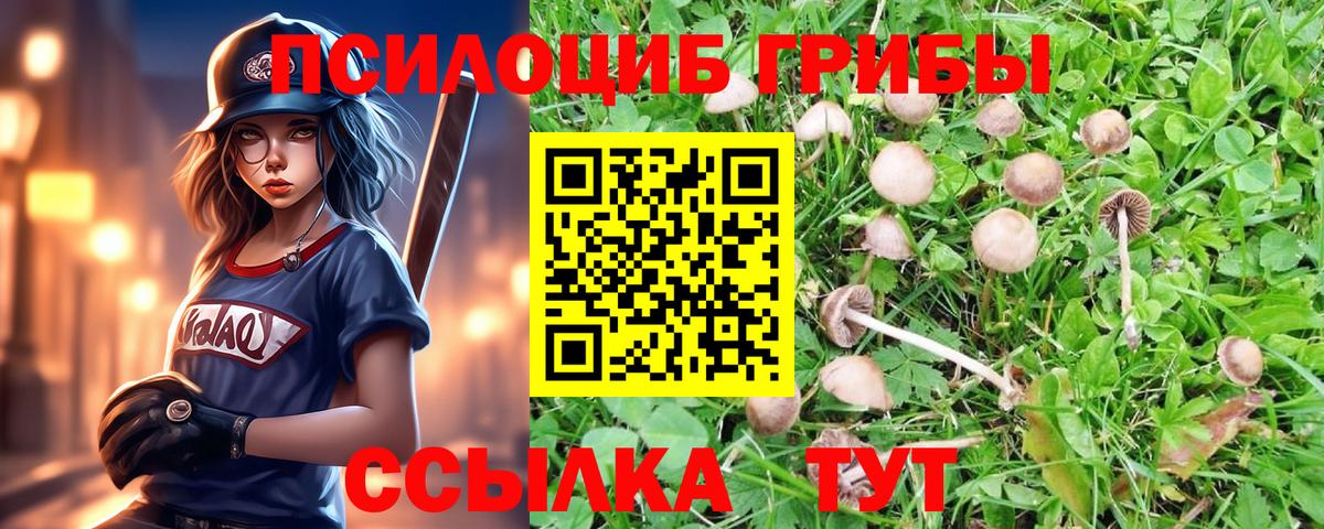 наркошоп  Галлюциногенные грибы MAGIC MUSHROOMS  Псилоцибиновые грибы GOLDEN TEACHER  Вход с VPN  Озёры 